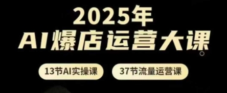 2025年AI爆店运营大课，13节AI实操课+37节流量运营课-SSOKS网创项目-分享创业资讯_最新网络项目资源