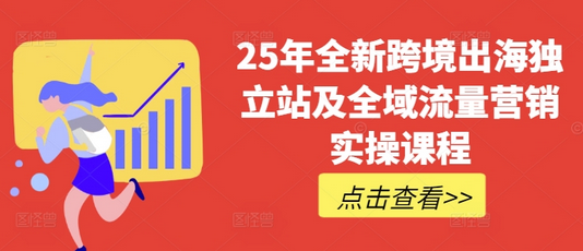 25年全新跨境出海独立站及全域流量营销实操课程，跨境电商独立站TIKTOK全域营销普货特货玩法大全-SSOKS网创项目-分享创业资讯_最新网络项目资源