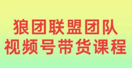 狼团联盟2024视频号带货，0基础小白快速入局视频号-SSOKS网创项目-分享创业资讯_最新网络项目资源