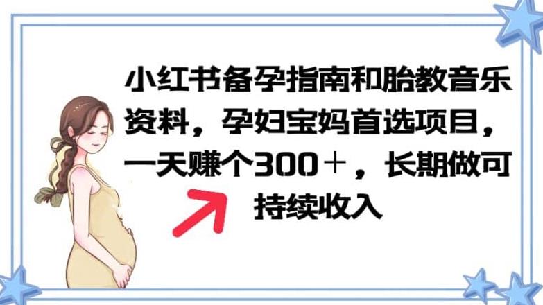 小红书备孕指南和胎教音乐资料孕妇宝妈首选项目一天赚个300＋长期可做【揭秘】-SSOKS网创项目-分享创业资讯_最新网络项目资源