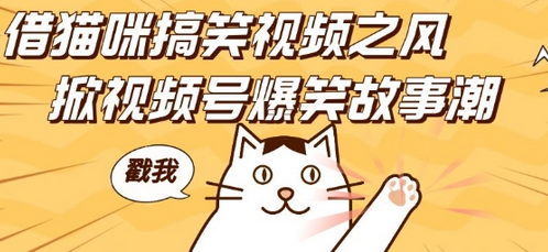 借猫咪搞笑视频之风，掀视频号爆笑故事潮，轻松日入四位数，无门槛快速入门!-SSOKS网创项目-分享创业资讯_最新网络项目资源