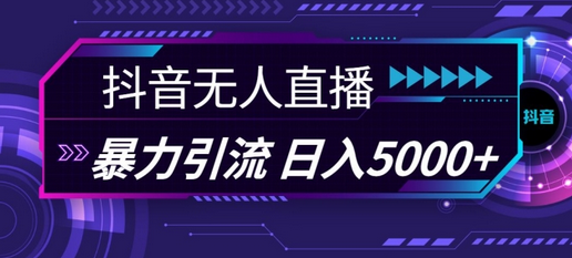 抖音快手视频号全平台通用无人直播引流法，利用图片模板和语音话术，暴力日引流100+创业粉-SSOKS网创项目-分享创业资讯_最新网络项目资源