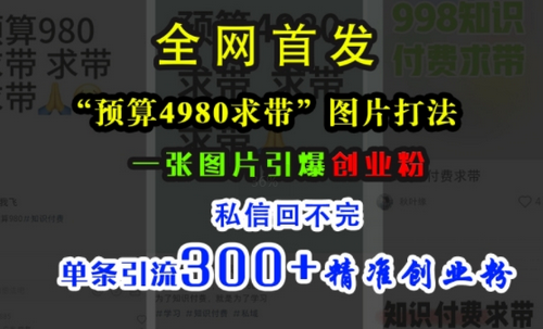 小红书“预算4980带我飞”图片打法，一张图片引爆创业粉，私信回不完，单条引流300+精准创业粉-SSOKS网创项目-分享创业资讯_最新网络项目资源