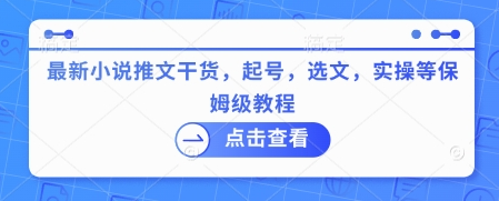 最新小说推文干货，起号，选文，实操等保姆级教程-SSOKS网创项目-分享创业资讯_最新网络项目资源