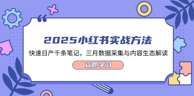（14347期）2025小红书实战方法，快速日产千条笔记，三月数据采集与内容生态解读-SSOKS网创项目-分享创业资讯_最新网络项目资源