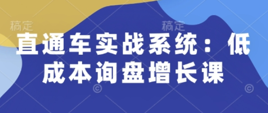 直通车实战系统：低成本询盘增长课，让个人通过技能实现升职加薪，让企业低成本获客，订单源源不断-SSOKS网创项目-分享创业资讯_最新网络项目资源