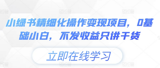 小绿书精细化操作变现项目，0基础小白，不发收益只讲干货-SSOKS网创项目-分享创业资讯_最新网络项目资源