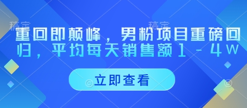 重回即颠峰，男粉项目重磅回归，平均每天销售额1-4W 2025-04-27 分类：VIP教程 / 网赚教程 / 网赚项目 评论(0)-SSOKS网创项目-分享创业资讯_最新网络项目资源