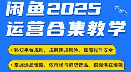 2025闲鱼电商运营全集，2025最新咸鱼玩法-SSOKS网创项目-分享创业资讯_最新网络项目资源