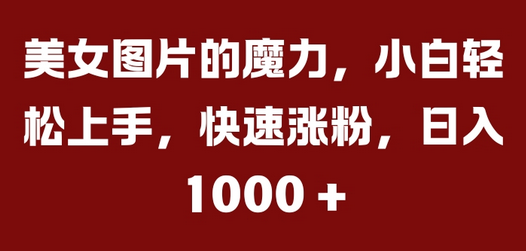 美女图片的魔力，小白轻松上手，快速涨粉，日入几张-SSOKS网创项目-分享创业资讯_最新网络项目资源