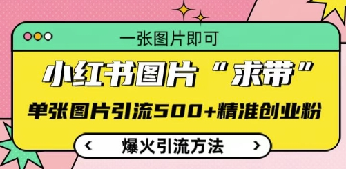 小红书图片‘求带’爆火引流法，单张图片引流500+精准创业粉-SSOKS网创项目-分享创业资讯_最新网络项目资源