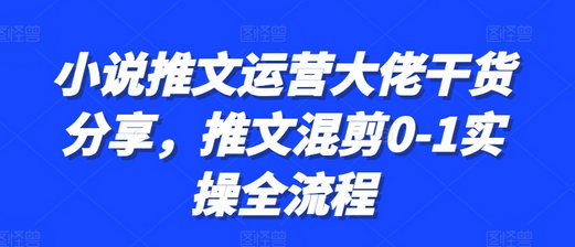 小说推文运营大佬干货分享，推文混剪0-1实操全流程-SSOKS网创项目-分享创业资讯_最新网络项目资源