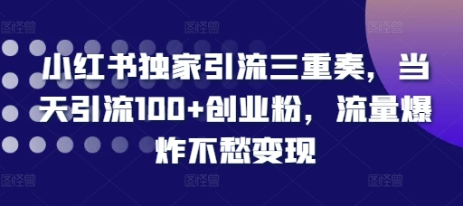 小红书独家引流三重奏，当天引流100+创业粉，流量爆炸不愁变现-SSOKS网创项目-分享创业资讯_最新网络项目资源