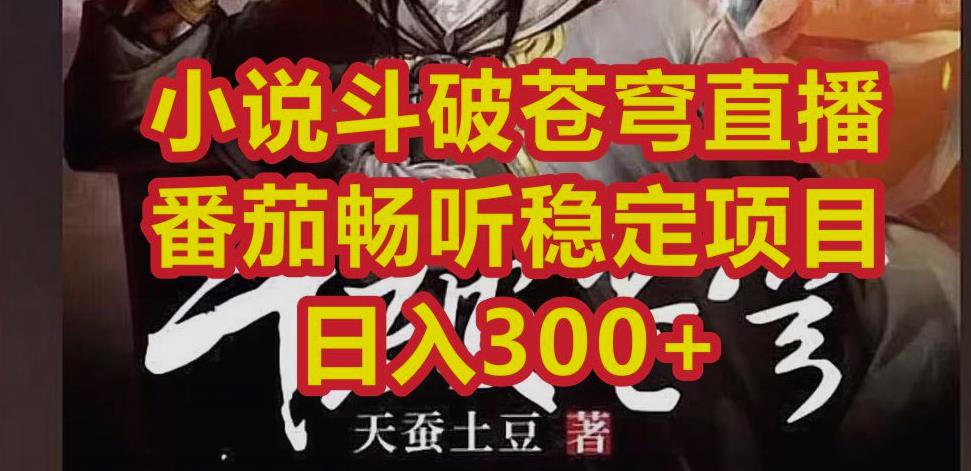 小说斗破苍穹直播，番茄畅听日入300+稳定项目【揭秘】-SSOKS网创项目-分享创业资讯_最新网络项目资源