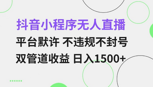 抖音小程序无人直播 平台默许 不违规不封号 双管道收益 日入多张 小白也能轻松操作-SSOKS网创项目-分享创业资讯_最新网络项目资源