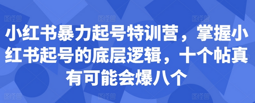 小红书暴力起号特训营，掌握小红书起号的底层逻辑，十个帖真有可能会爆八个-SSOKS网创项目-分享创业资讯_最新网络项目资源