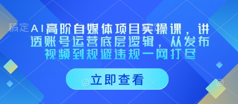 AI高阶自媒体项目实操课，讲透账号运营底层逻辑，从发布视频到规避违规一网打尽-SSOKS网创项目-分享创业资讯_最新网络项目资源