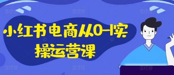 小红书电商从0-1实操运营课，小红书手机实操小红书/IP和私域课/小红书电商电脑实操板块等-SSOKS网创项目-分享创业资讯_最新网络项目资源