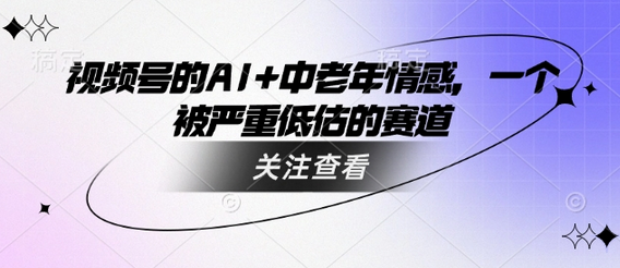 视频号的AI+中老年情感，一个被严重低估的赛道-SSOKS网创项目-分享创业资讯_最新网络项目资源