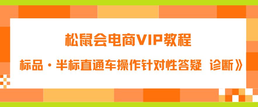 松鼠会电商VIP教程：松鼠《付费推广标品·半标直通车操作针对性答疑&诊断》-SSOKS网创项目-分享创业资讯_最新网络项目资源