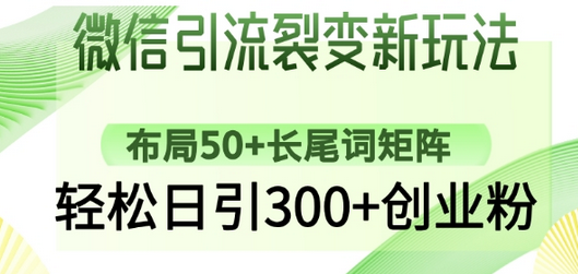 微信引流裂变新玩法：布局50+长尾词矩阵，轻松日引300+创业粉-SSOKS网创项目-分享创业资讯_最新网络项目资源