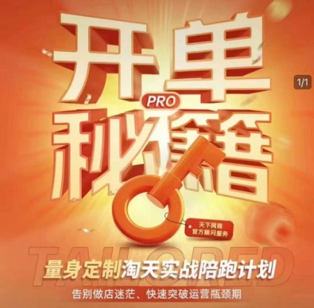 淘宝开单秘籍PRO，量身定制淘天实战陪跑计划，告别做店迷茫、快速突破运营瓶颈期（更新）-SSOKS网创项目-分享创业资讯_最新网络项目资源