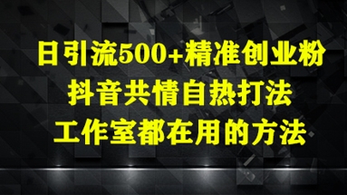 日引流500+精准创业粉，抖音共情自热打法，工作室都在用的方法-SSOKS网创项目-分享创业资讯_最新网络项目资源