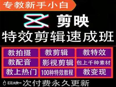剪映特效教程和运营变现教程，特效剪辑速成班，专教新手小白-SSOKS网创项目-分享创业资讯_最新网络项目资源