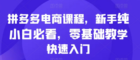 拼多多电商课程，新手纯小白必看，零基础教学快速入门-SSOKS网创项目-分享创业资讯_最新网络项目资源