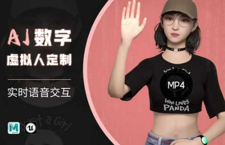 Ai数字人虚拟(智能体)实时语音交互特训营，​自行定制超写实角色AI数字人交互技术-SSOKS网创项目-分享创业资讯_最新网络项目资源