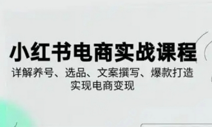 小红书从0-1实操课(2023-2025)，详解养号、选品、文案撰写、爆款打造实现电商变现 2025-04-03 分类：VIP教程 / 网赚教程 / 网赚项目 评论(0)-SSOKS网创项目-分享创业资讯_最新网络项目资源