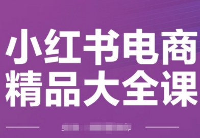 小红书电商精品大全课，快速掌握小红书运营技巧，实现精准引流与爆单目标，轻松玩转小红书电商(更新2月)-SSOKS网创项目-分享创业资讯_最新网络项目资源