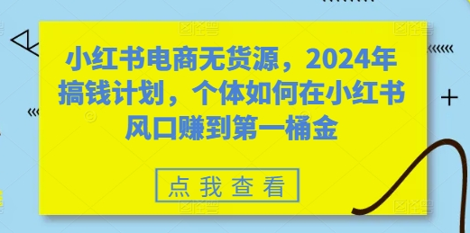 小红书电商无货源，2024年搞钱计划，个体如何在小红书风口赚到第一桶金-SSOKS网创项目-分享创业资讯_最新网络项目资源