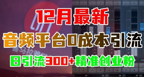 12月最新：音频平台0成本引流，日引流300+精准创业粉-SSOKS网创项目-分享创业资讯_最新网络项目资源